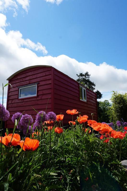 Ballyroe Accommodation Leap Exterior foto